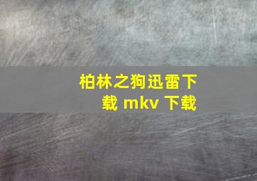 柏林之狗迅雷下载 mkv 下载